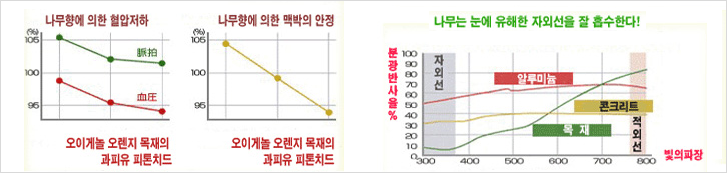 목재의 열 특성과 안정성 그래프
